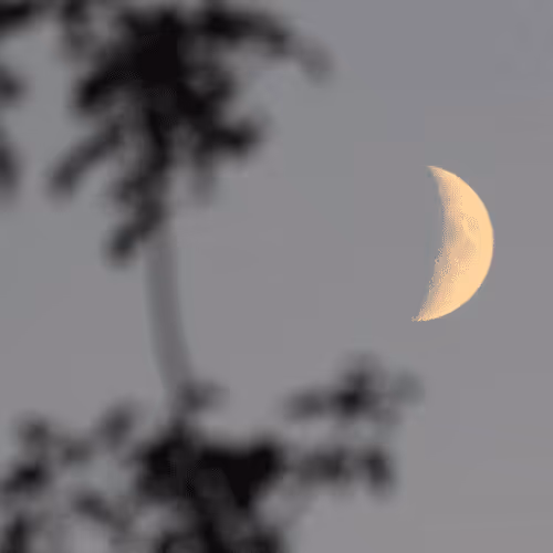 51124555051901614330264480006545612592022390906904121289505624518428259778561