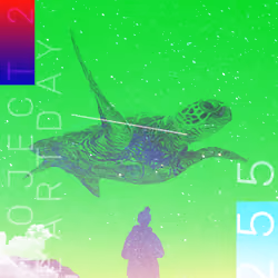 Turtle