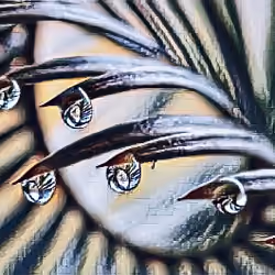 Dropplets