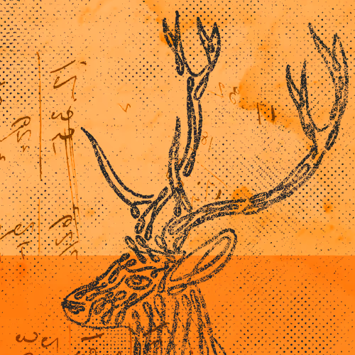 12520096913277121545232673772747947087596815365110293900319642880907742806017