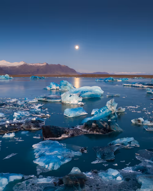 Item #71348397378810690825618428912408306798479722983811327082816877874125819871233 Media