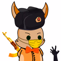 88542289232910988082985471742010113017330397052625520364867096061715767361537