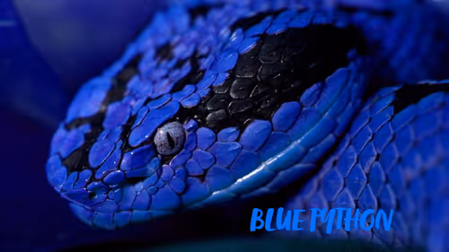 Item #104161443198091315867466870852018301652904632713207372938542586436037589860353 Media