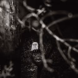The Haunted Planet