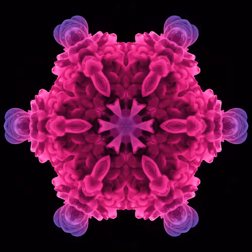 Item #105598432229104396590244618898353407233161156696249513419484439844821370142721 Media