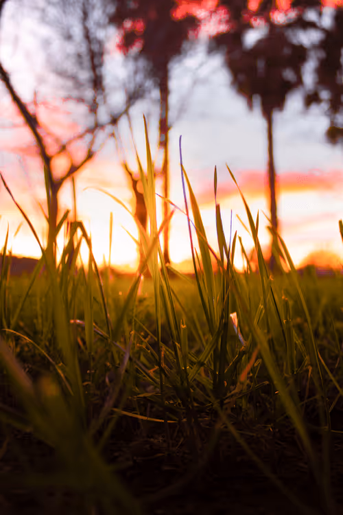 Item #65201007181043070802715508716320896791609980635279470143192853040909063816168 Media