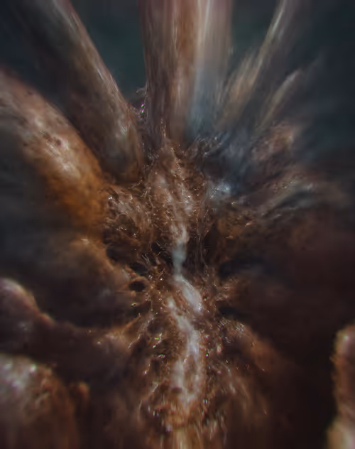 Item #55881646325774394077147768718081657751292269434891868439632387326155667013633 Media