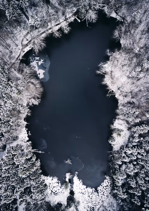 Item #56582553885224441089926055814048090400852822169914013821602265857993155280897 Media