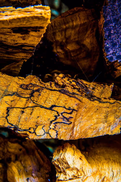 Item #40632996133042654692589824603650500763499961417471040253403769843571325141012 Media