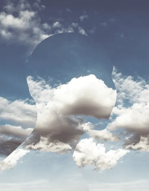 Item #82609118524691155128275552268110610382414993710109647359598208768686298234881 Media