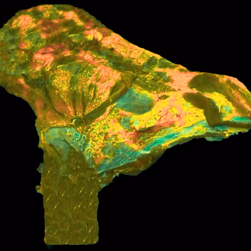 18063966590187803564983313972252836895288362682890717819958697160394487627777