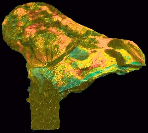 Item #18063966590187803564983313972252836895288362682890717819958697160394487627777 Media