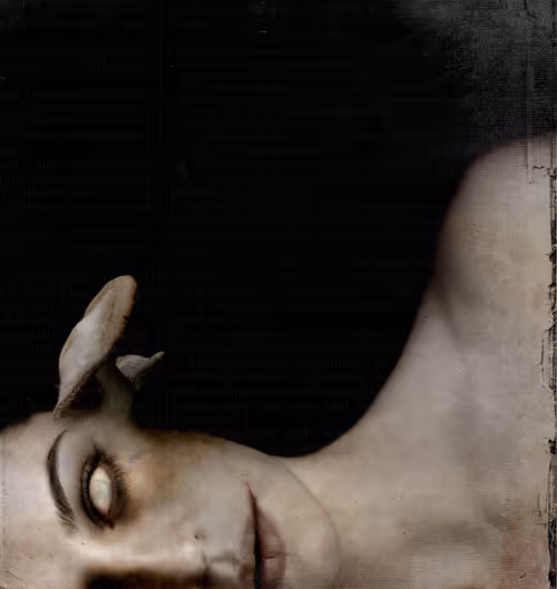 Item #8085254141654812684738761113738258081454055288701000052945293522654573101057 Media