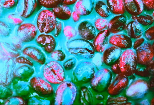 Item #39425846421802280996231740338929997167545085552399292352466571966987949309953 Media