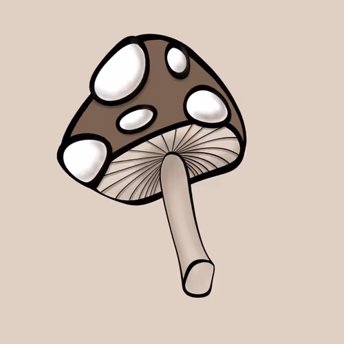 Item #10892854439494182666828272798820682063380910573095497919452047520262703284225 Media