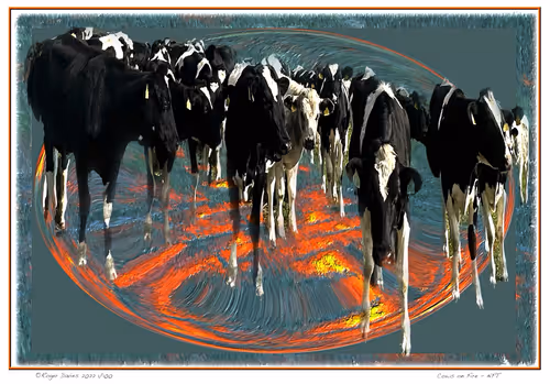 Item #113829610119937179277145653237989536661159515398728099625049874660065078673409 Media