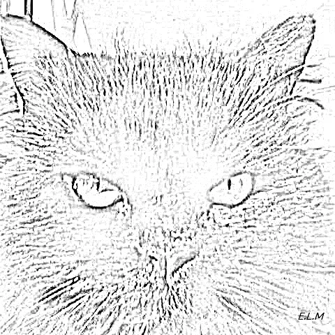 Item #7332445844289244381018128462759425138890330151948511199121516911986716180481 Media