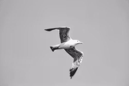 A glimpse of Mediterranean