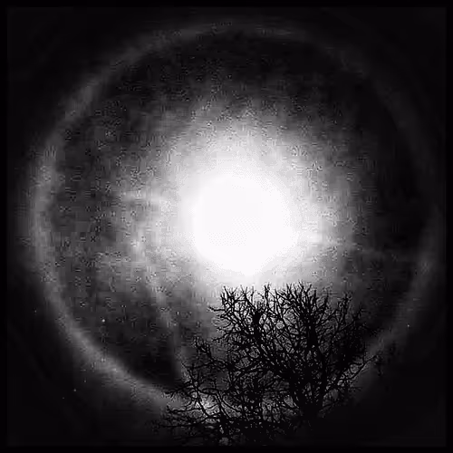 Item #68605712053382192846540923633795123035527930655349438703373875795265027309569 Media