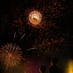 The  celebration of lights  Edition 1/1