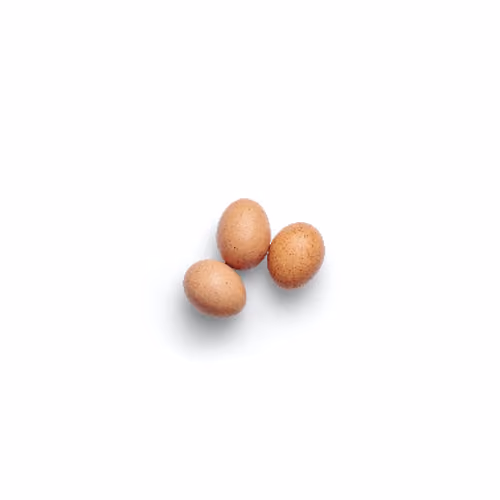 Item #90805863105562476265967287381100377475206685669001558030346955815914494230529 Media