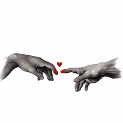 Amor Amor