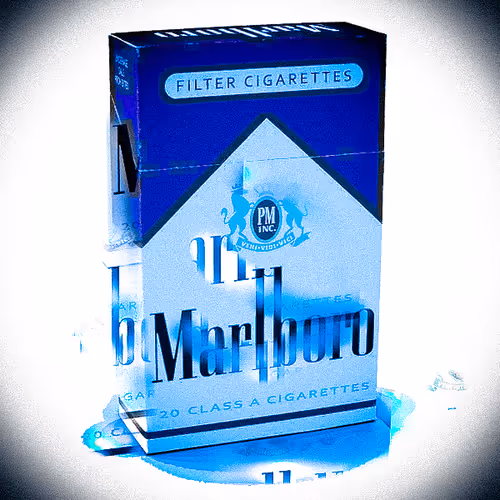 #codename_Summer_Camp_JupiterMarlboro_