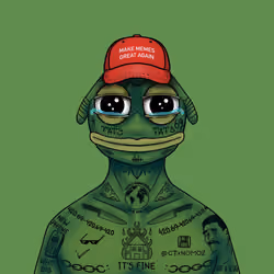 PEPE #037