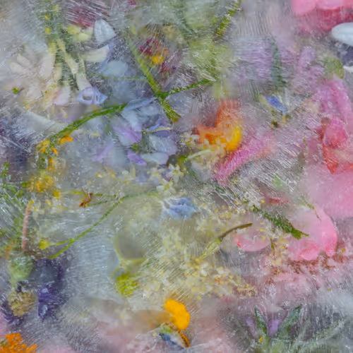 Item #80829721372825377784010953381890255518558028243098186913878117654196897447937 Media