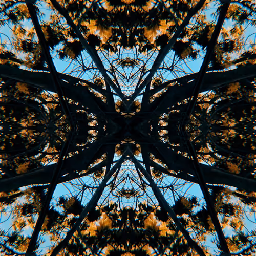 Item #83813870001028254034183636372253725916124604148332772860806868911379252772874 Media