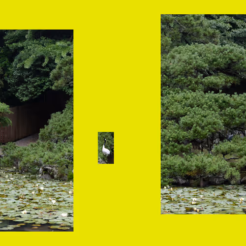 cryptobvious Collection - old