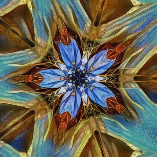 Easy Street Collection