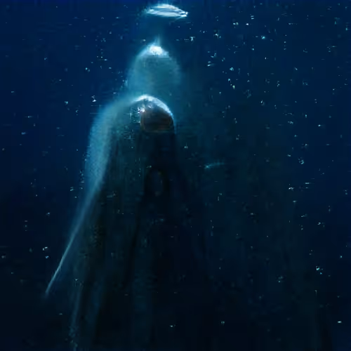 Item #81423580408588551200801073682850784470757564812203159627046902690085813092353 Media