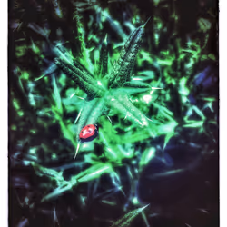 3787080761074609709675817509753112159059746763483256848434353599577849856005