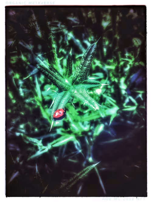 Item #3787080761074609709675817509753112159059746763483256848434353599577849856005 Media