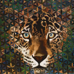 Jag Vibe
