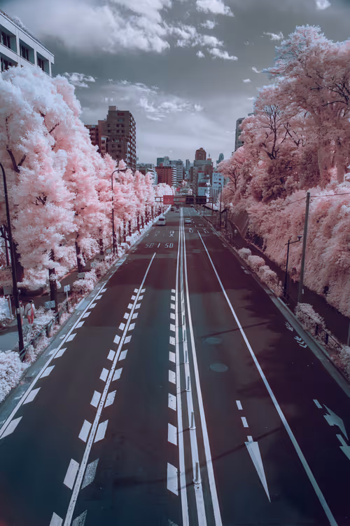 Item #112238918999279188162345983200387422450369680175959231698809594218328507809793 Media