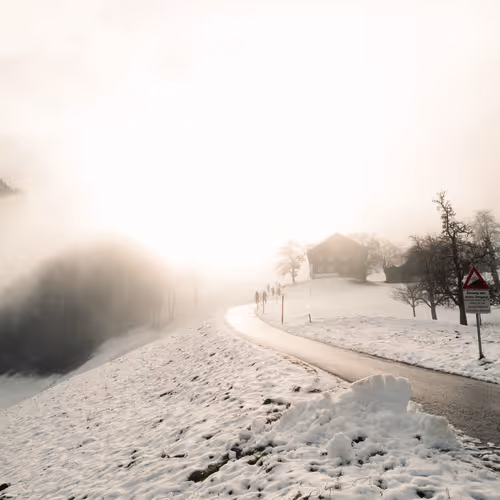 Into the White #23