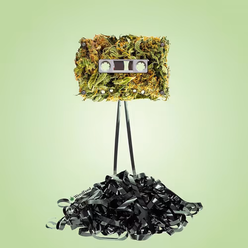 Item #276618171581163995688451181711762959038558310937804576463711746102036267009 Media