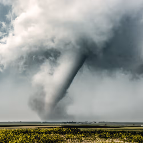 Vorticity #10