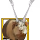11956811942635422927171460162610099694714344402587762652016437319689740222465