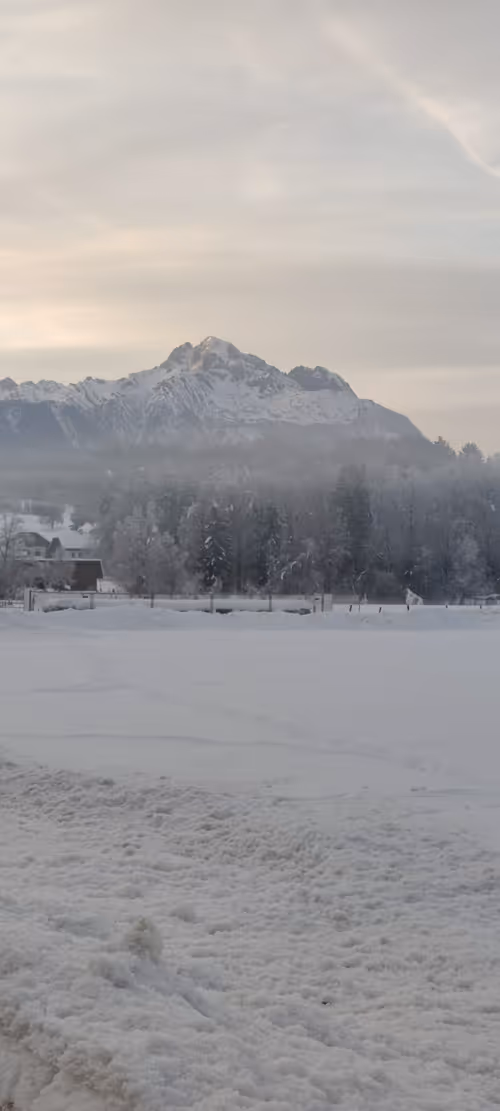 Item #88353325740892022603979579663228138712443640373110526023367119860237674217473 Media