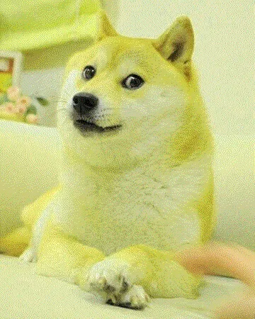 Item #35416579311940555386877027106883133557986698249173124823505168663971629105153 Media