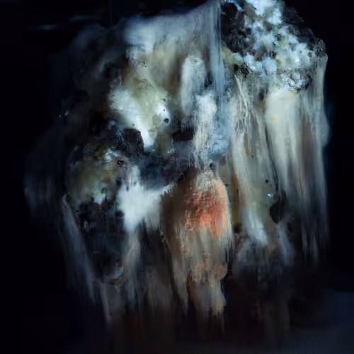 Earthfungal