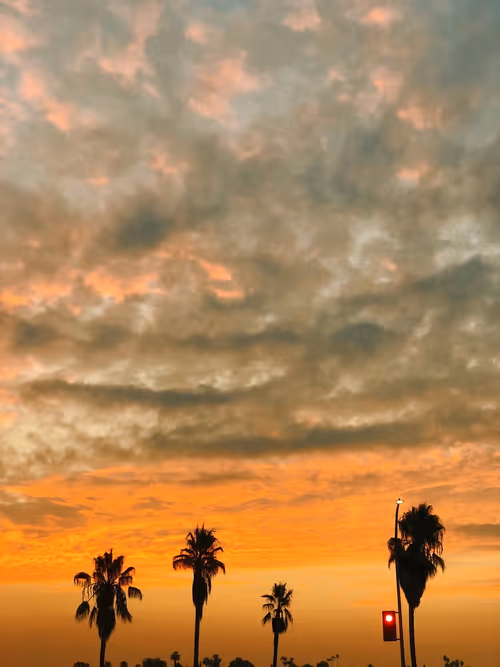 Item #109035602226808003781190119812646007383870584685532442463381147010661263343617 Media