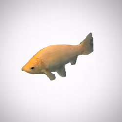 Fishy