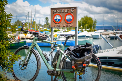 Item #115603264193609435787725146047206423648046875604586388292126317283397251104769 Media