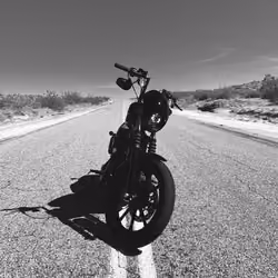 HarleyD