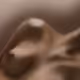 71612854290007489912386196550495868093855881668285752477056652001132536659969