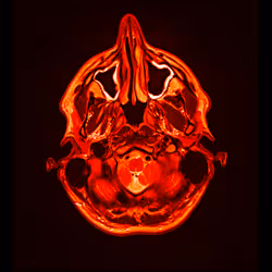 64162533542198579898252916190583583845604629893829087458582975619348668874753